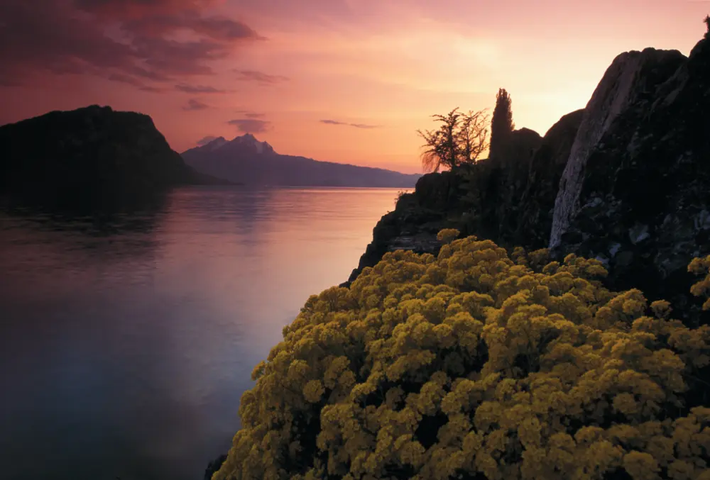 Bergen en Meren - Treinrondreis Zwitserland