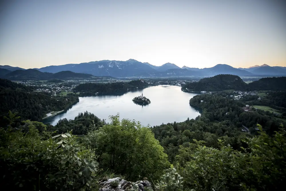Bled