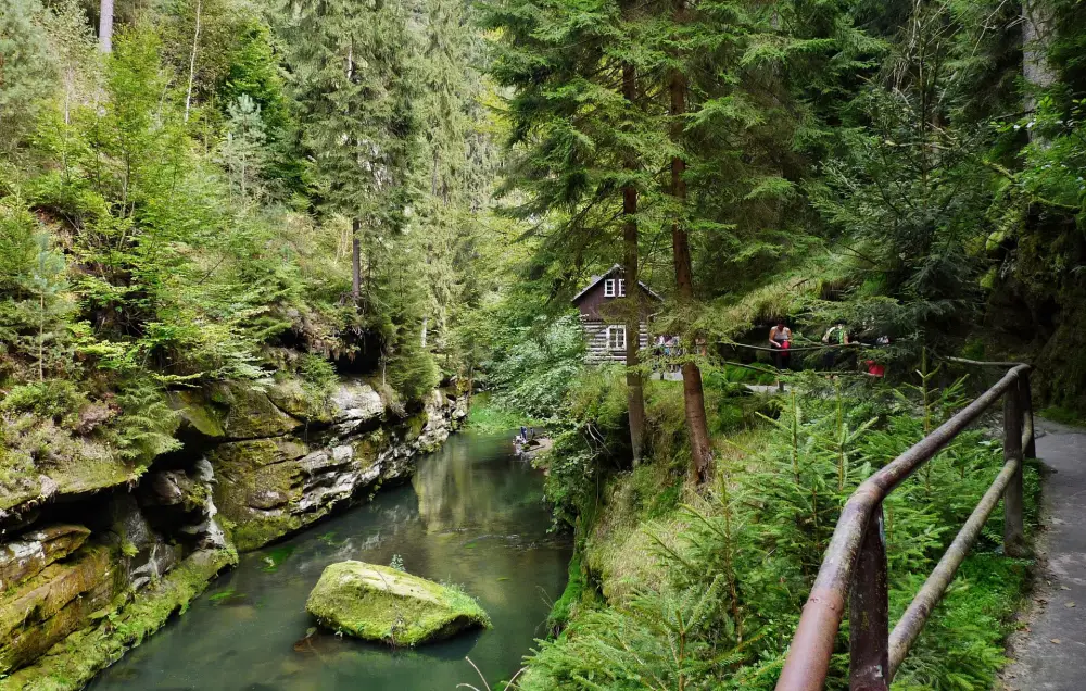 Natuur bij Hrensko in Boheems Zwitserland - Treinreis Tsjechie