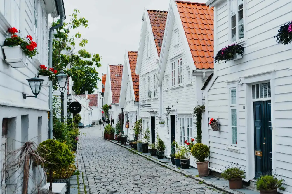 Sørlandsbanen en Bergensbanen - trein & ferry rondreis